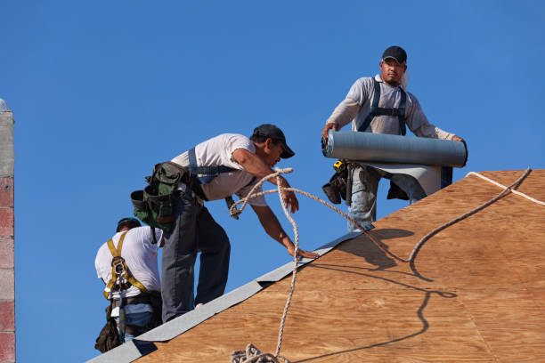 Roof Gutter Cleaning in Bothell West, WA