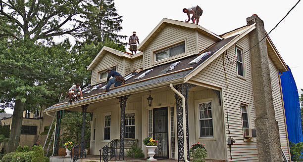 Best Roof Gutter Cleaning  in Bothell West, WA